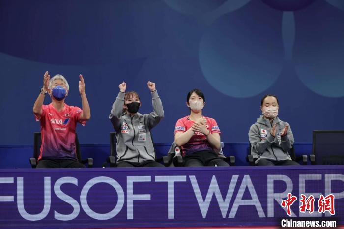 伊藤美诚迷上中国动画《猪猪侠》：常在母亲房