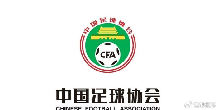 U10组假球事件引调查 两队领队主教练被永久禁足